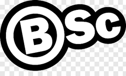 Balajee Steel Company Logo